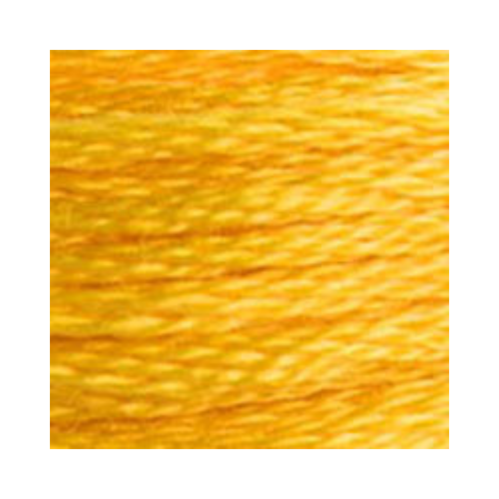 DMC Six-Strand Embroidery Floss
