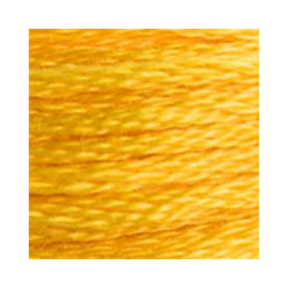 DMC Six-Strand Embroidery Floss