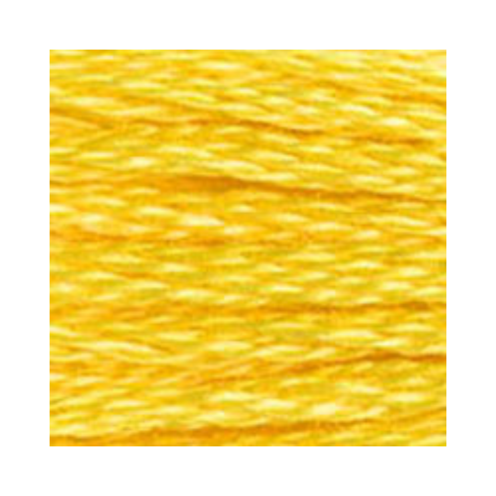 DMC Six-Strand Embroidery Floss