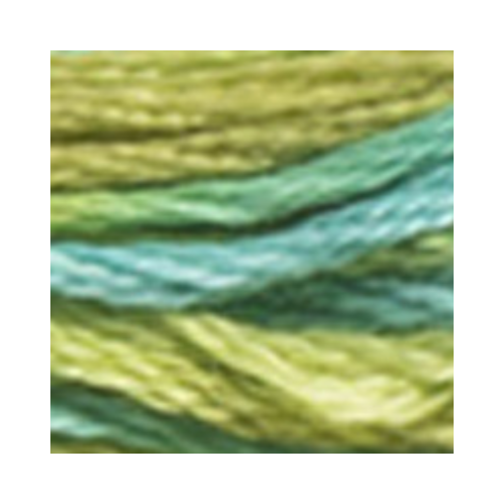 DMC Color Variation Embroidery Floss