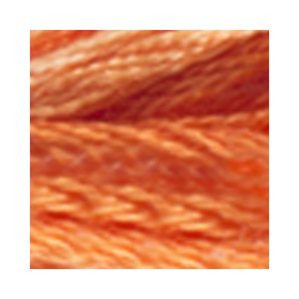 DMC Color Variation Embroidery Floss