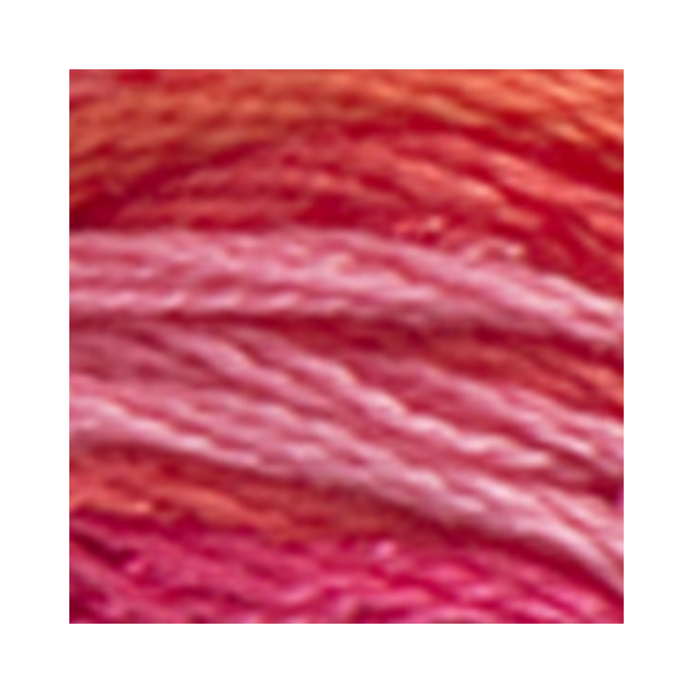 DMC Color Variation Embroidery Floss