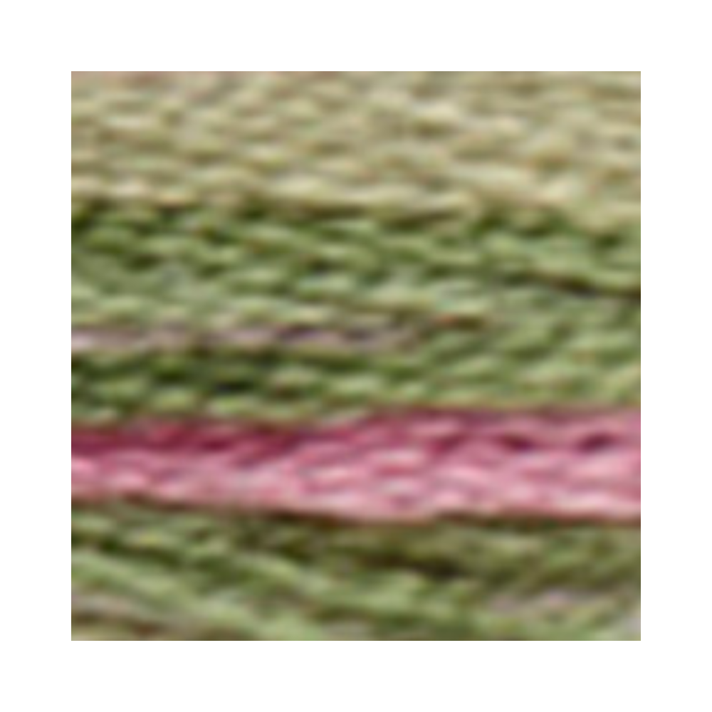 DMC Coloris Embroidery Floss