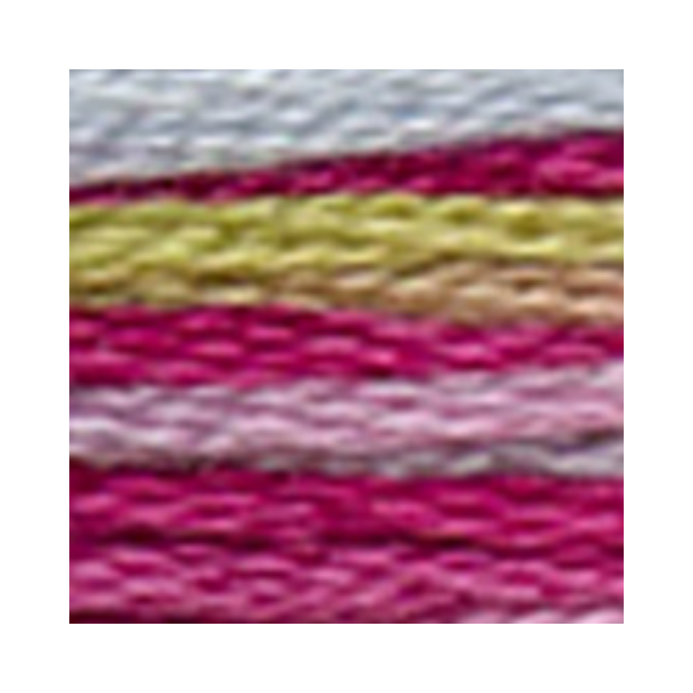 DMC Coloris Embroidery Floss