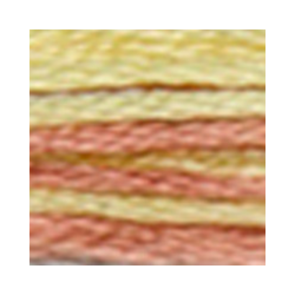 DMC Coloris Embroidery Floss