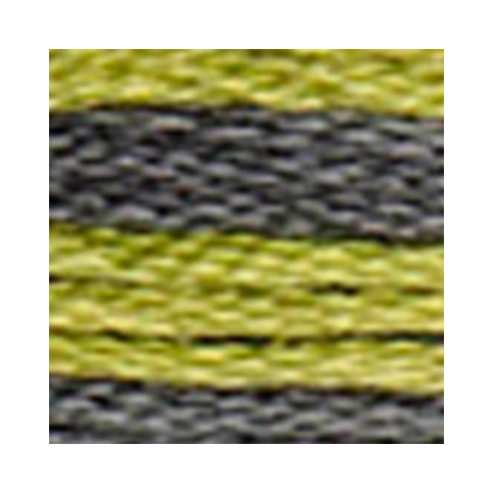 DMC Coloris Embroidery Floss