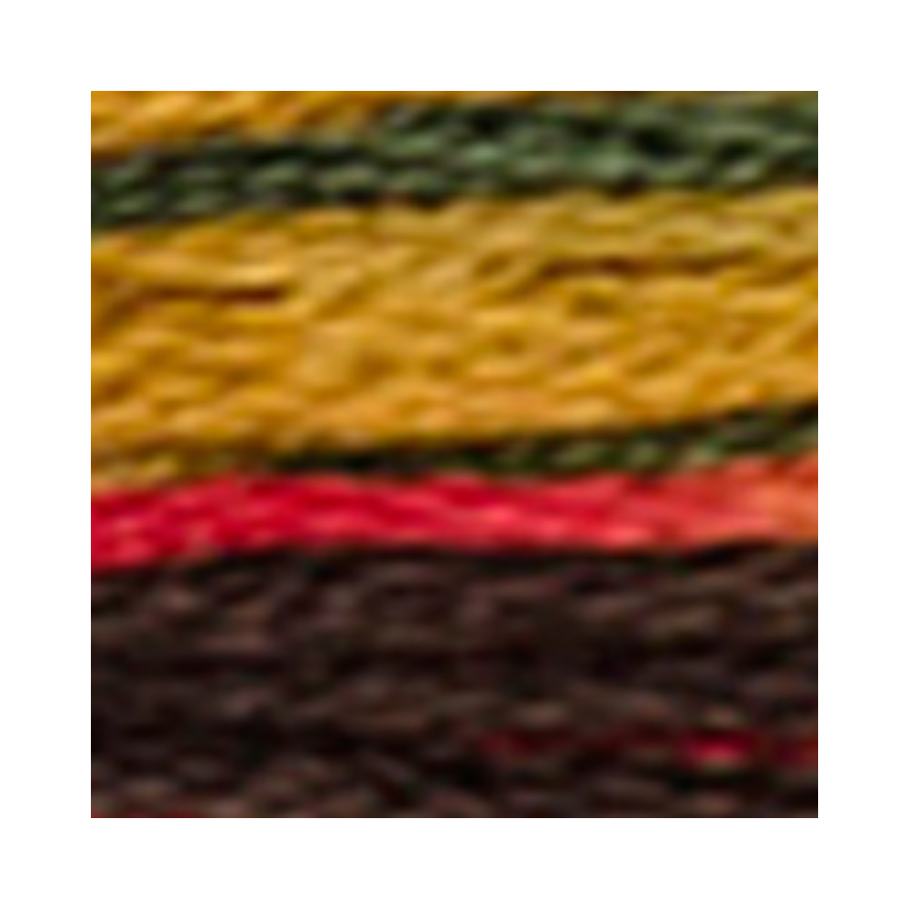 DMC Coloris Embroidery Floss