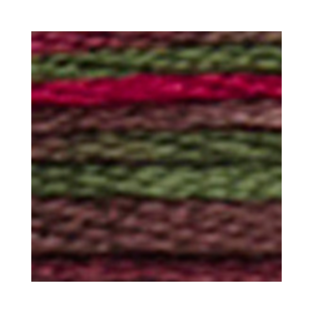 DMC Coloris Embroidery Floss