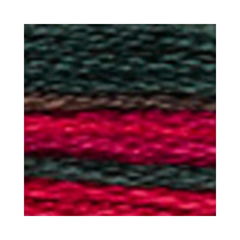 DMC Coloris Embroidery Floss