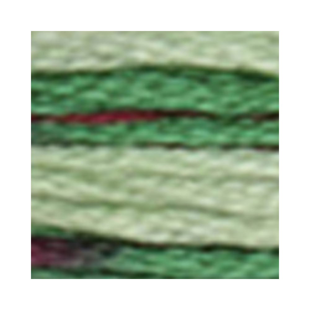 DMC Coloris Embroidery Floss