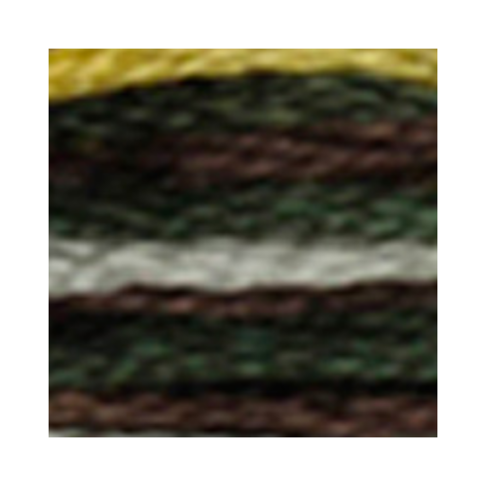 DMC Coloris Embroidery Floss
