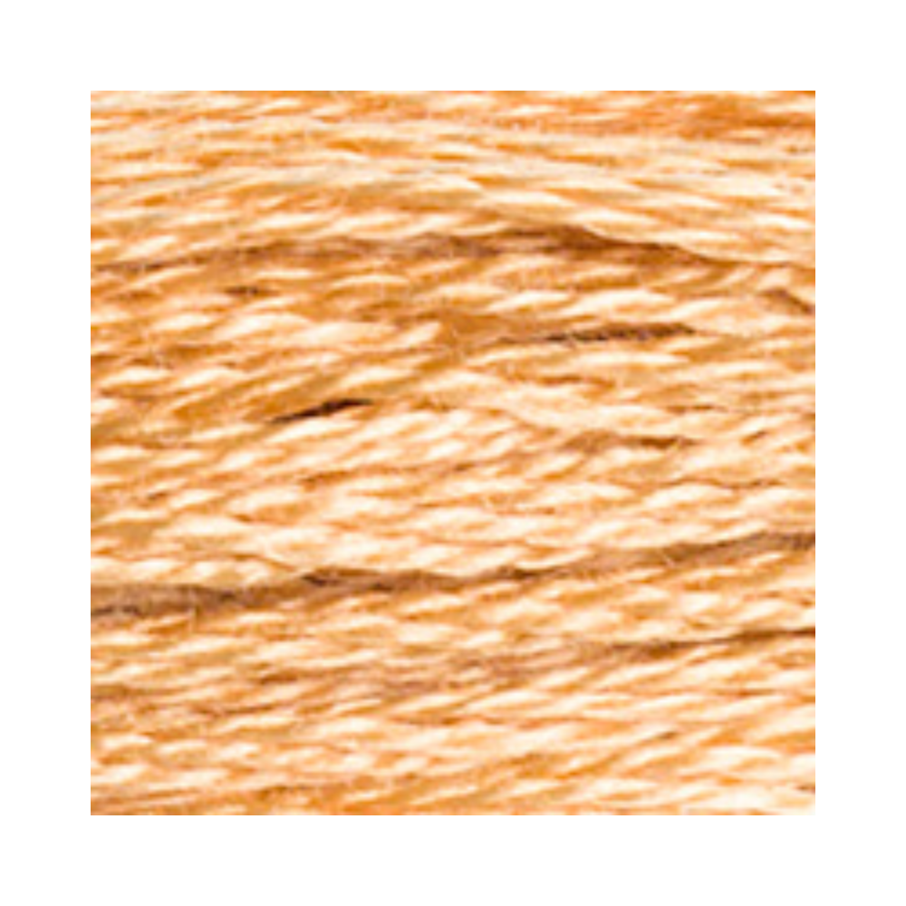 DMC Six-Strand Embroidery Floss
