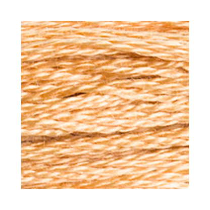 DMC Six-Strand Embroidery Floss