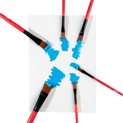 Assorted Brush Set – 6 Piece
