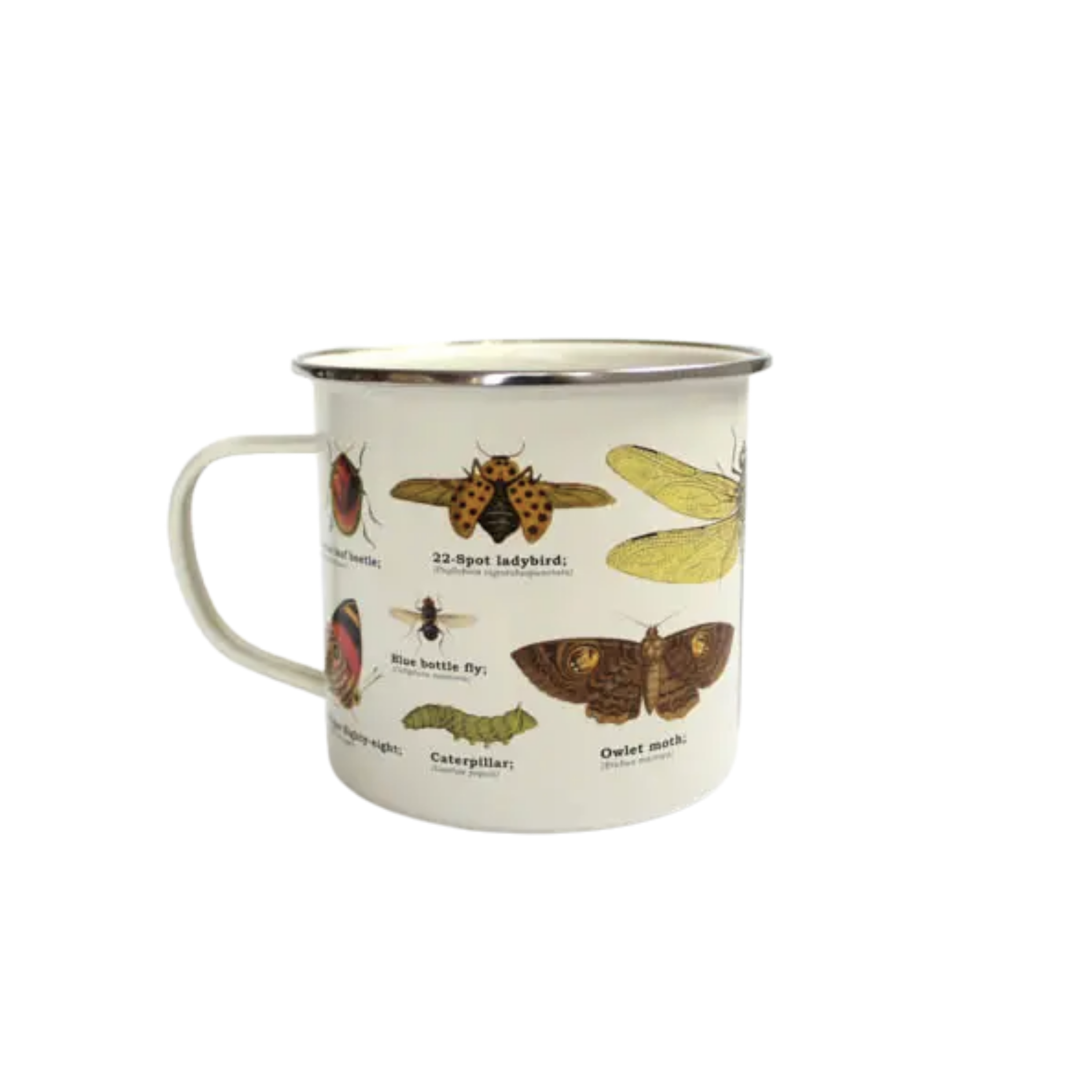 Normale Mug Insect Insects Enamel Mug – My Store