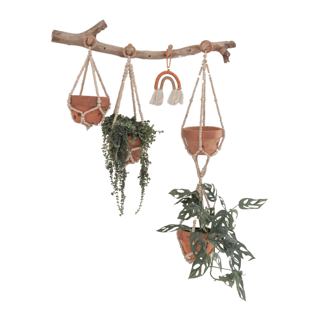 Coffee Wood Beaded Plant Holder