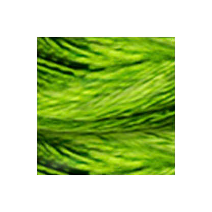 DMC Satin Embroidery Floss