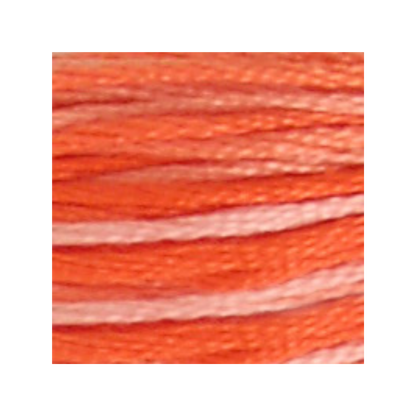 DMC Six-Strand Embroidery Floss