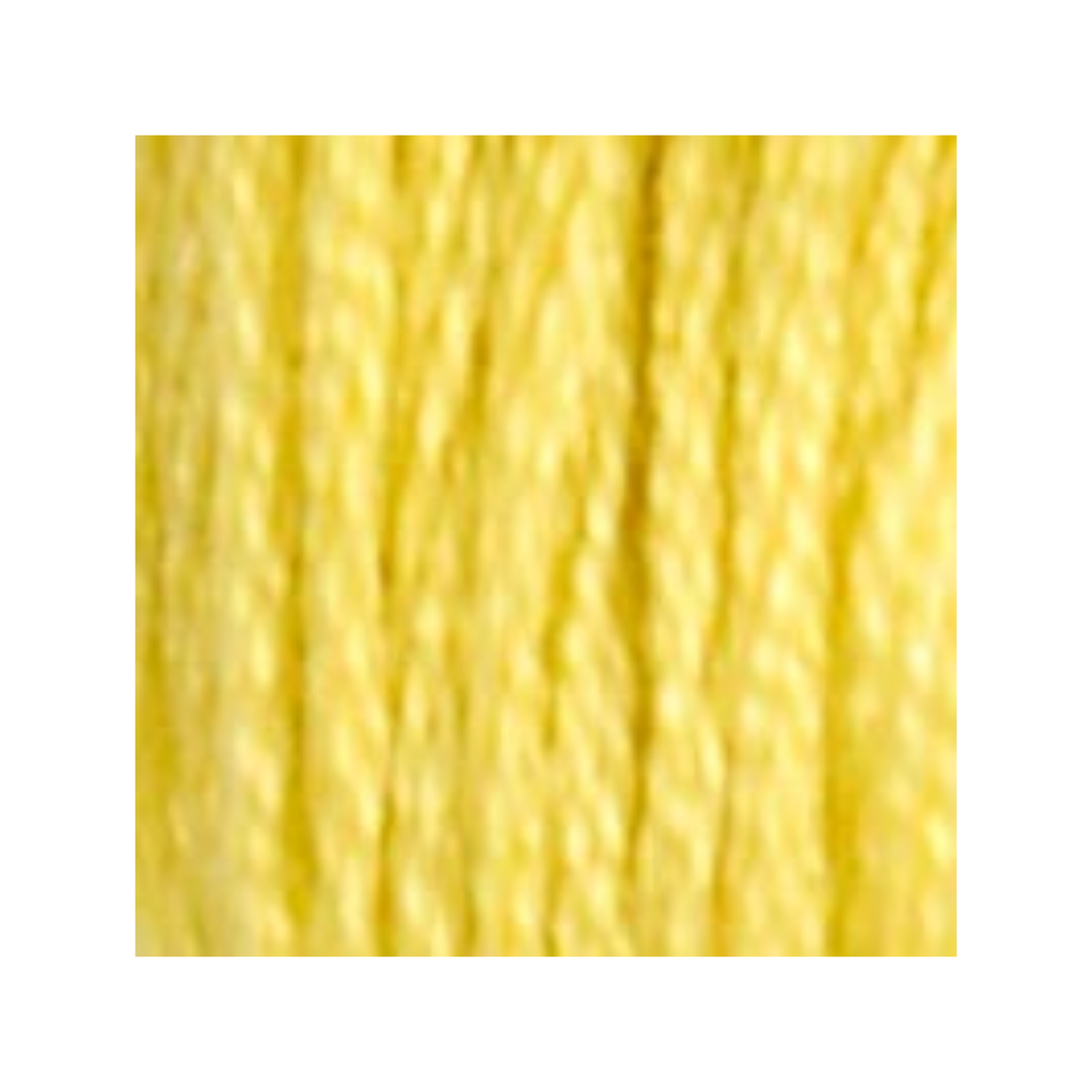 DMC Six-Strand Embroidery Floss