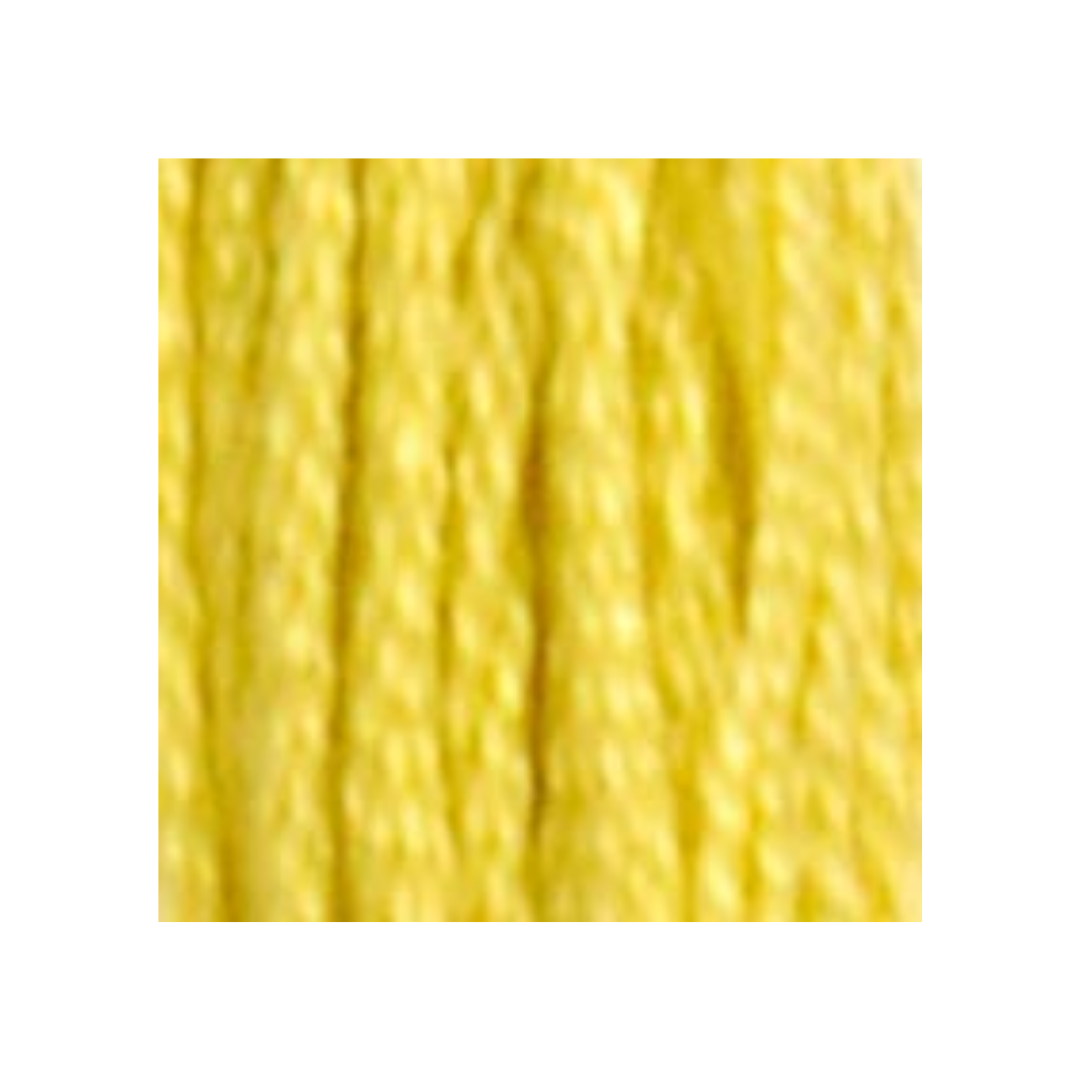 DMC Six-Strand Embroidery Floss
