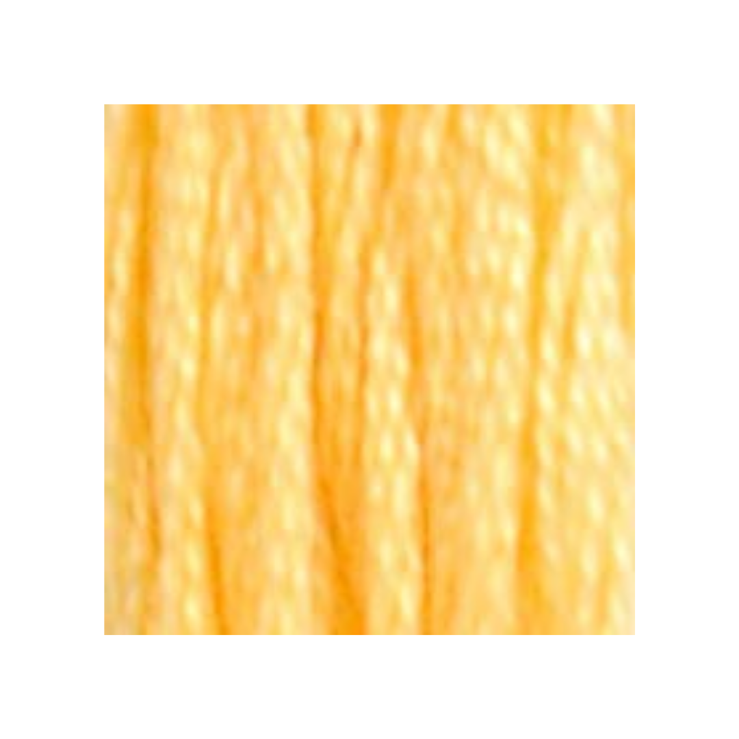 DMC Six-Strand Embroidery Floss
