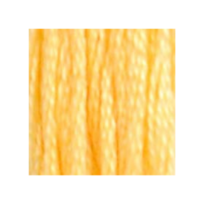 DMC Six-Strand Embroidery Floss