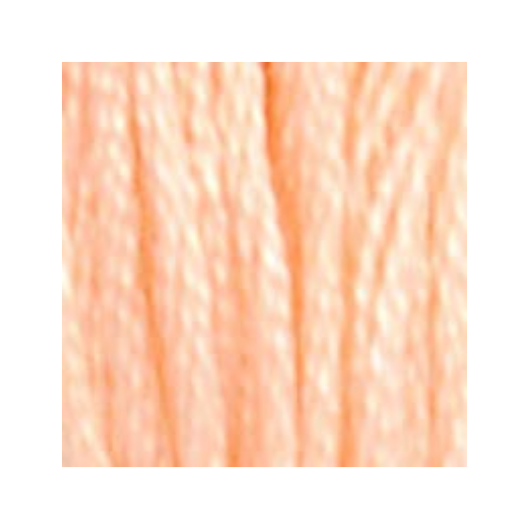 DMC Six-Strand Embroidery Floss