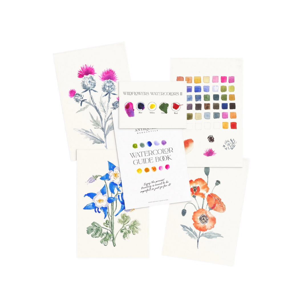Watercolor Painting Kit : Wildflowers No2