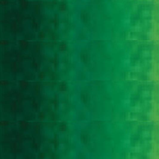 Sap Green Holbein Artists' Watercolor 15ML