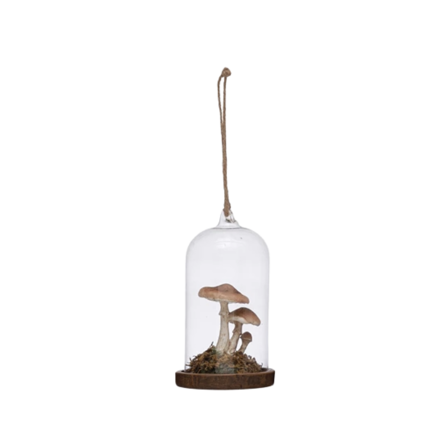 4-1/2"H Glass Cloche Ornament with Resin Mushroom
