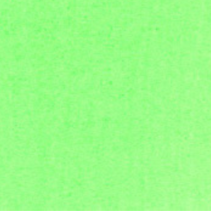 FW Liquid Acrylic Ink 1oz - Fluorescent Green