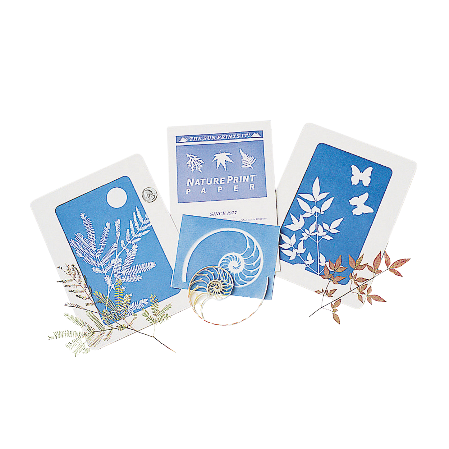 Nature Print Sun-Sensitive Paper (12PC)