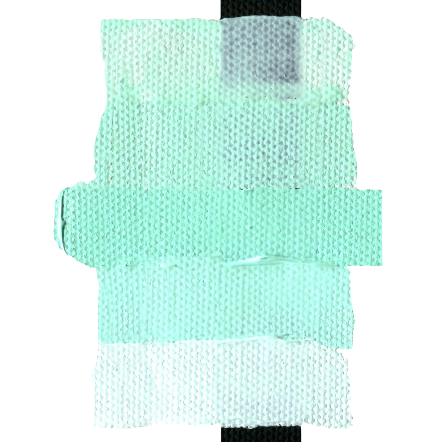 Heavy Body Acrylic 2oz Light Phthalo Green