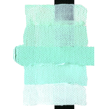 Heavy Body Acrylic 2oz Light Phthalo Green