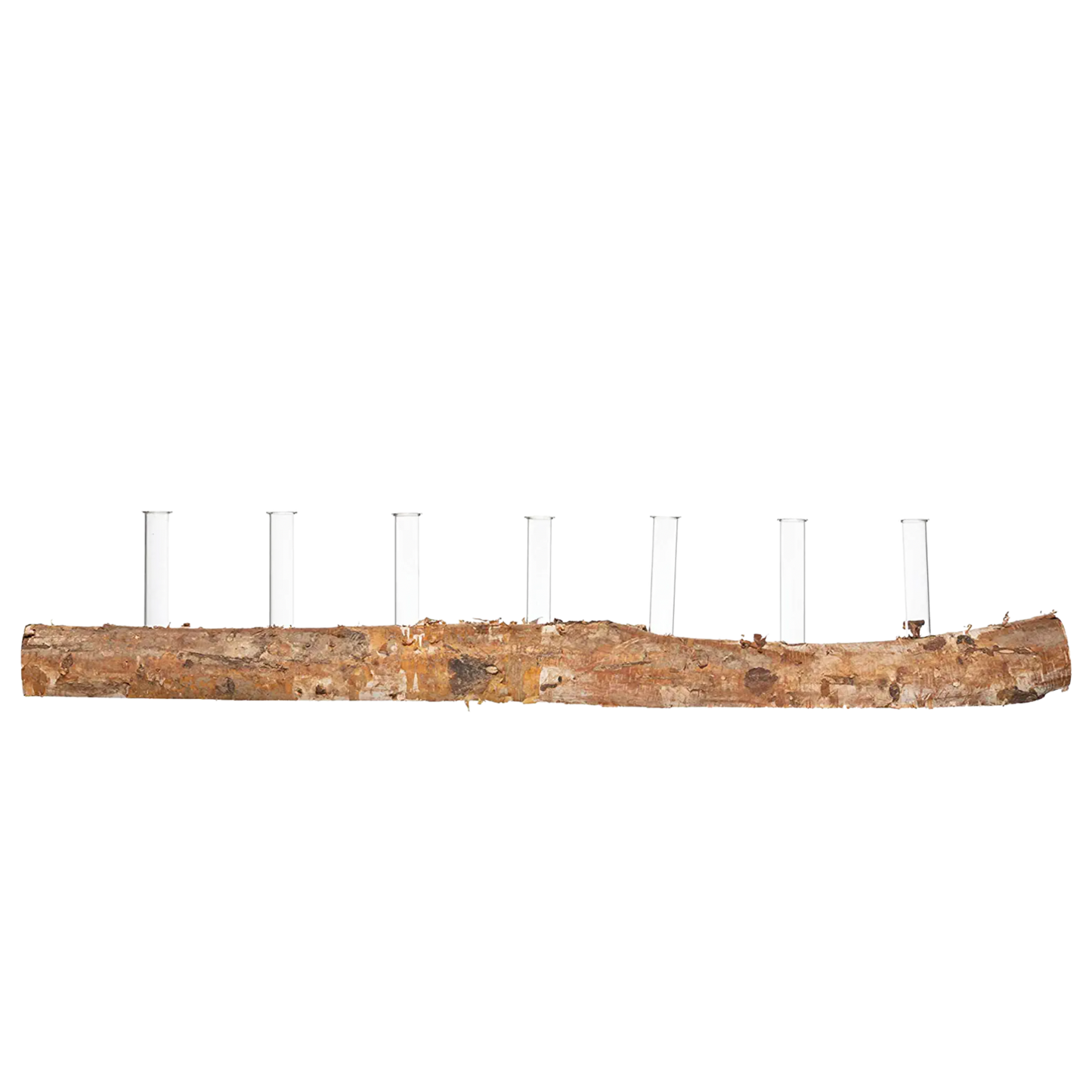 Birch Wood Log base with Seven Glass Tubes for Propagation