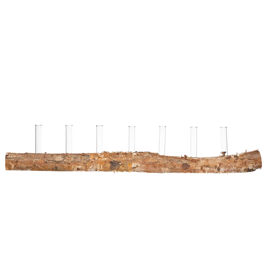 Birch Wood Log base with Seven Glass Tubes for Propagation