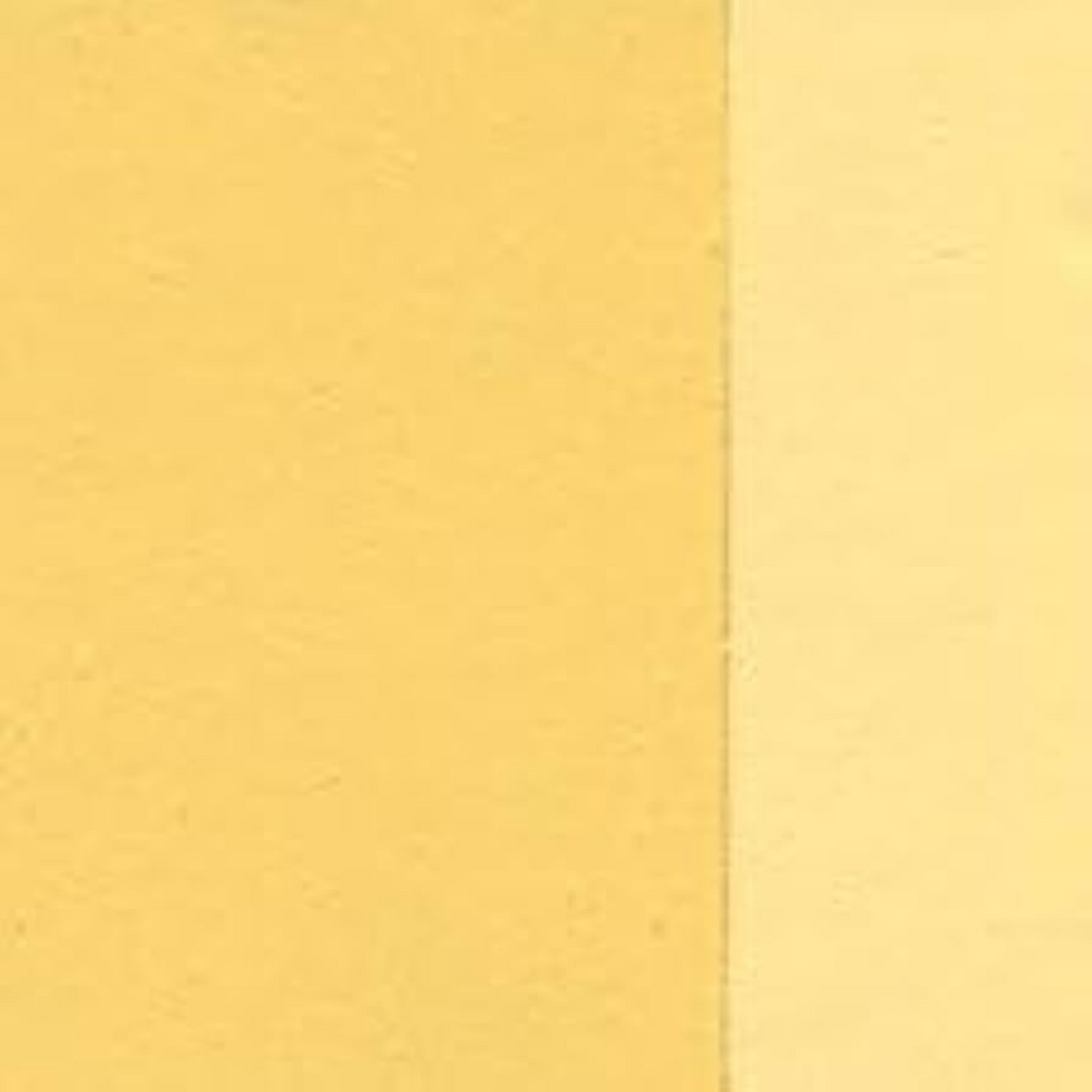 Holbein Artist Oil Color 40ML