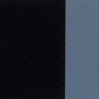 Holbein Artist Oil Color 40ML