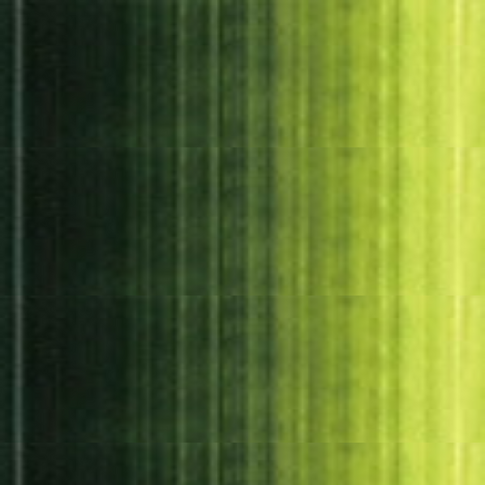 Sap Green Holbein Heavy Body Acrylic Paints 60ML