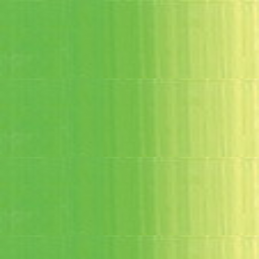 Cadmium Green Light Holbein Heavy Body Acrylic Paints 60ML