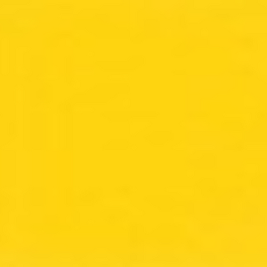 Cadmium Yellow Holbein Heavy Body Acrylic Paints 60ML