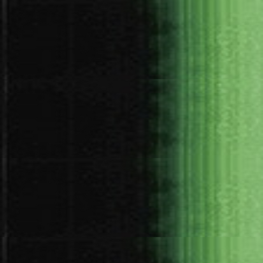 Hooker's Green Holbein Heavy Body Acrylic Paints 60ML