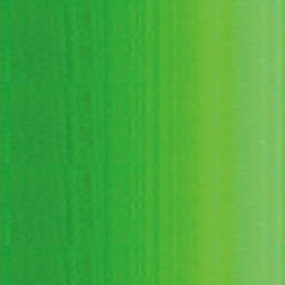 Middle Green Holbein Heavy Body Acrylic Paints 60ML
