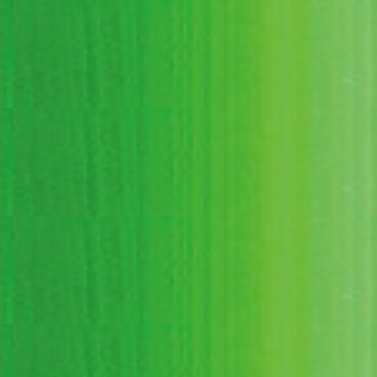Middle Green Holbein Heavy Body Acrylic Paints 60ML