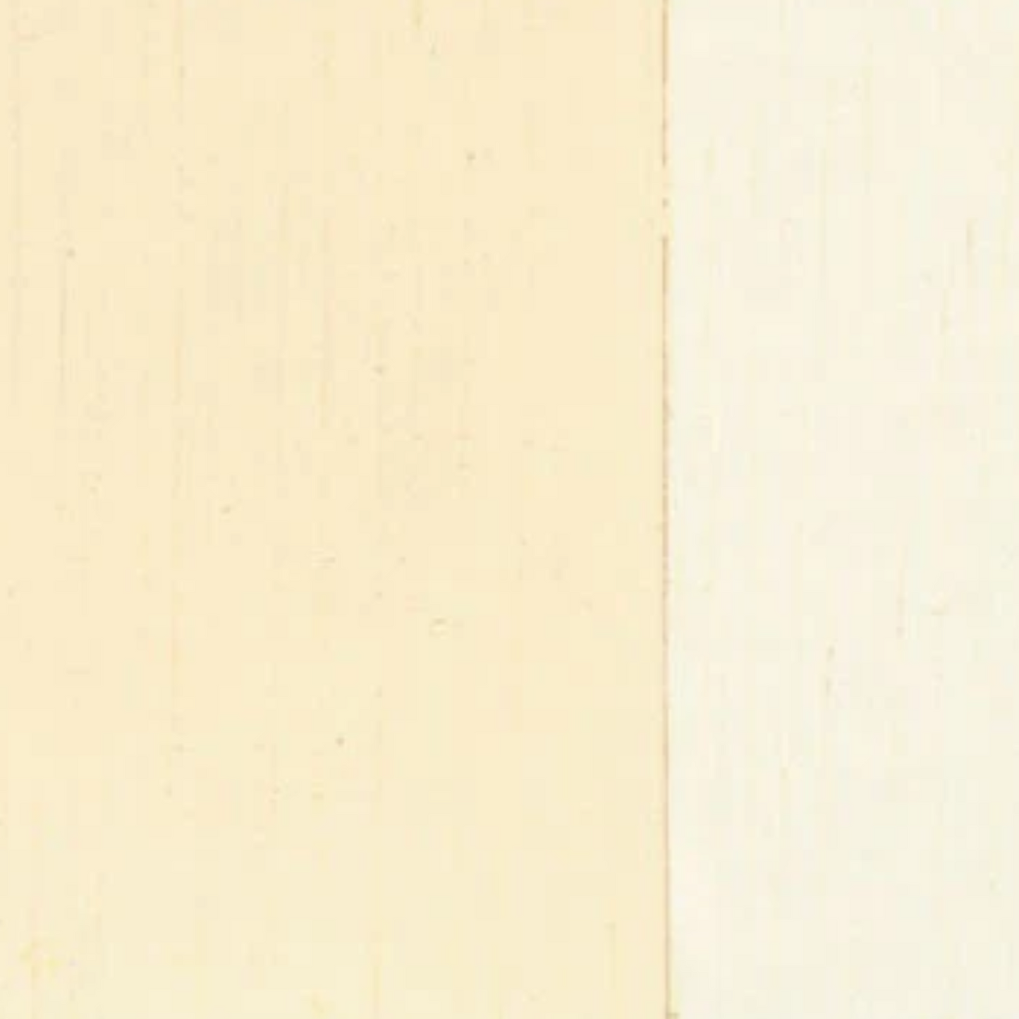 Holbein Artist Oil Color 40ML
