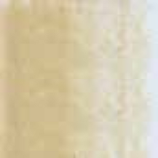 Sand Holbein Artists' Colored Pencils