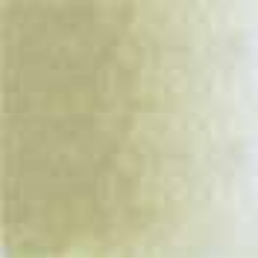 Willow Green Holbein Artists' Colored Pencils