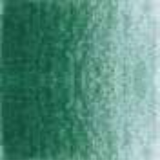 Bottle Green Holbein Artists' Colored Pencils