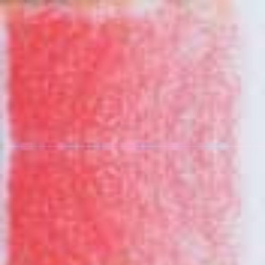 Carnation Holbein Artists' Colored Pencils