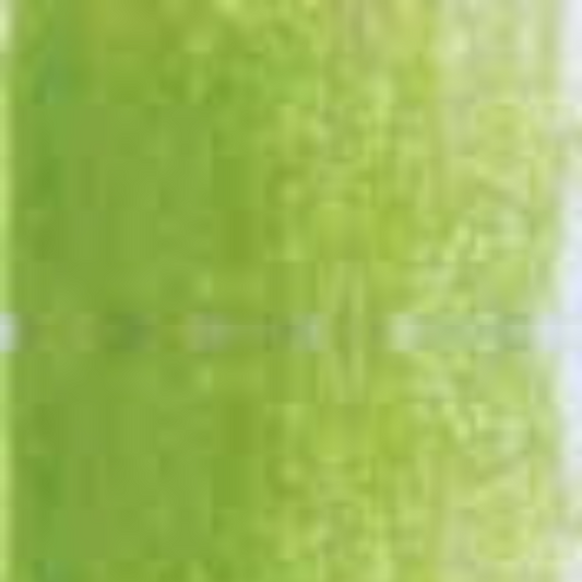 Leaf Green Holbein Artists' Colored Pencils